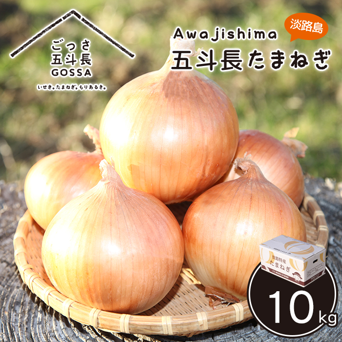五斗長たまねぎ 5kg　　[玉ねぎ 玉葱 タマネギ 玉ねぎ 淡路