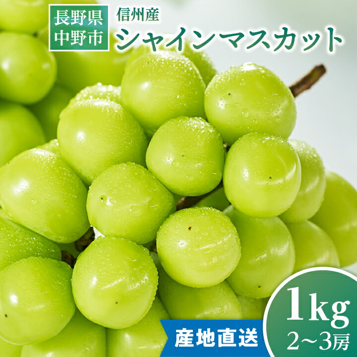 【ふるさと納税】2025年発送　【信州産】シャインマスカット1kg_ 長野県 フルーツ 果物 旬 ギフト プレゼント 贈り物 送料無料 【1246230】