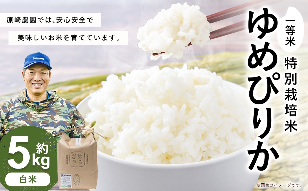 
                  【令和8年産】一等米・特別栽培米 5kg【ゆめぴりか白米】5kg×1袋（農薬7割減）北海道 鷹栖町 原崎農園 【2026年10月下旬頃発送開始予定】
                