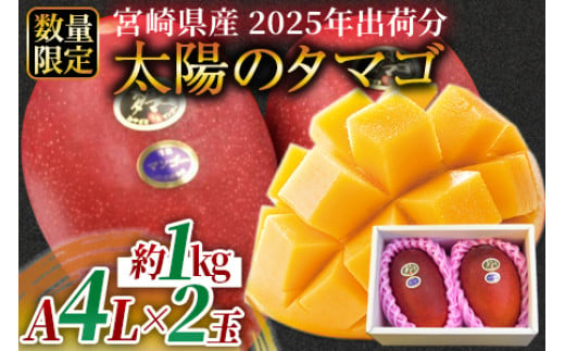 
            予約受付！数量限定！＜宮崎県産 太陽のタマゴ A等級 4Lサイズ×2玉（合計約1kg）＞2025年4月下旬～6月末迄に順次出荷【 果物 青果 フルーツ 太陽のタマゴ 太陽のたまご 完熟マンゴー マンゴ― 期間限定 先行予約 ギフト 贈答用 送料無料 】
          