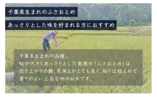 【最短2～7営業日出荷】令和7年産 千葉県産「ふさおとめ」10kg（5kg×2袋） A003