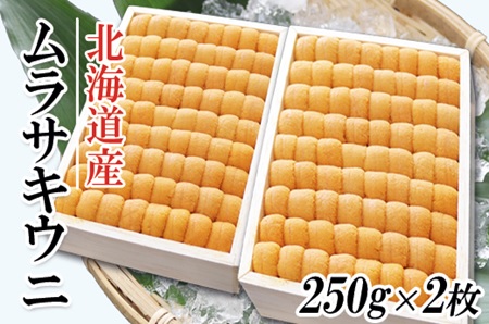ムラサキウニ250g×2折 D-53013