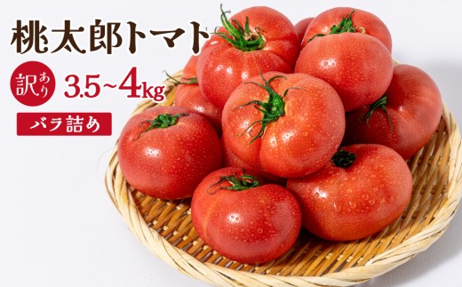 
                  桃太郎トマト［規格外］　3.5kg～4kg　バラ詰め｜桃太郎トマト トマト とまと 訳アリ 規格外 国産 野菜 夏野菜 新鮮 高糖度 岡山県 鏡野町
                