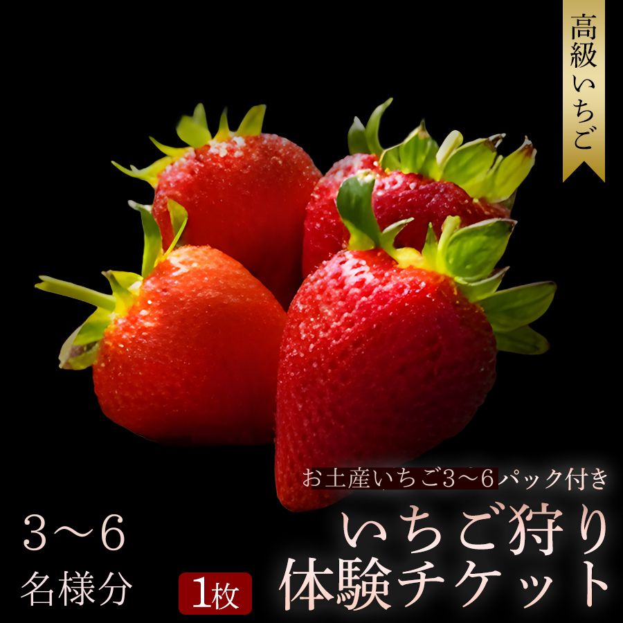 【ふるさと納税】 【体験時期 2027年1月1日～2027年5月7日】 オリジナルいちごと人気ブランドいちごの食べ比べ いちご狩り体験チケット ( 3～6名様分) ＋お土産いちご3～6パック付き | いちご狩り 苺狩り 農園 レジャー おでかけ 観光 ギフト 高級 贅沢 和歌山県 みなべ町