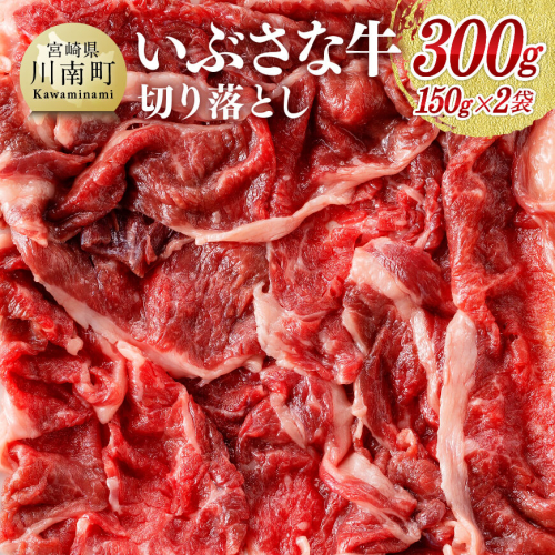 希少な血統の赤身肉 『いぶさな牛』 切落し 300g (150g×2) 【 肉 牛肉 黒毛和牛 精肉 希少 】 宮崎県川南町