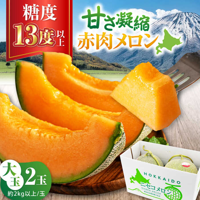 【ふるさと納税】先行予約 数量限定 北海道産 赤肉メロン 大玉2玉 《喜茂別町》【ニセコビュープラザ直売会協同組合】 メロン 赤肉 赤肉メロン 青肉 青肉メロン 化粧箱入り 贈答用 フルーツ 果物 赤肉 先行予約 常温 常温配送 北海道 北海道産 [AJAH020] 19000 19000円