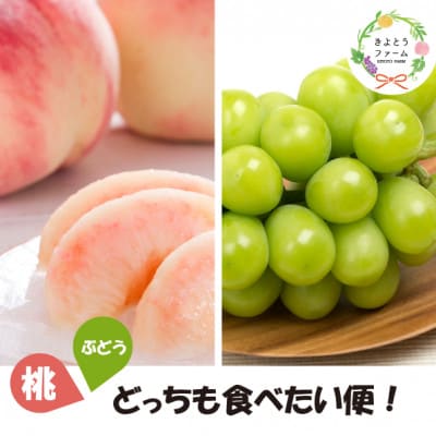 【発送月固定定期便】【きよとうファーム】桃と葡萄どっちも食べたい便!【お試し便】(岡山県産)全2回【配送不可地域：離島・北海道・沖縄県】