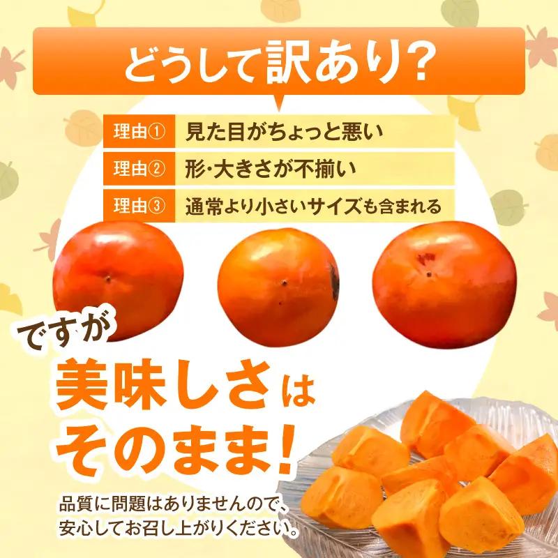 【先行受付】 訳あり 富有柿 3kg こねり柿園自慢の富有柿 _KNR0708
