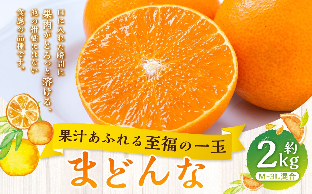 
                  【 果汁あふれる至福の一玉 】 まどんな （ 紅まどんなと同品種 ） 約2kg みかん ミカン 柑橘 柑橘系 柑橘類 くだもの 果物 フルーツ 果実 果汁 果肉 国産 愛媛県産 薄皮 【 2026年11月下旬-2027年1月下旬発送予定 】 ( 1110 )
                