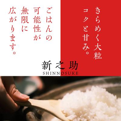 ふるさと納税 妙高市 2025年6月上旬より発送【定期便】新潟県上越・妙高産新之助20kg×3回(計60kg) |  | 01
