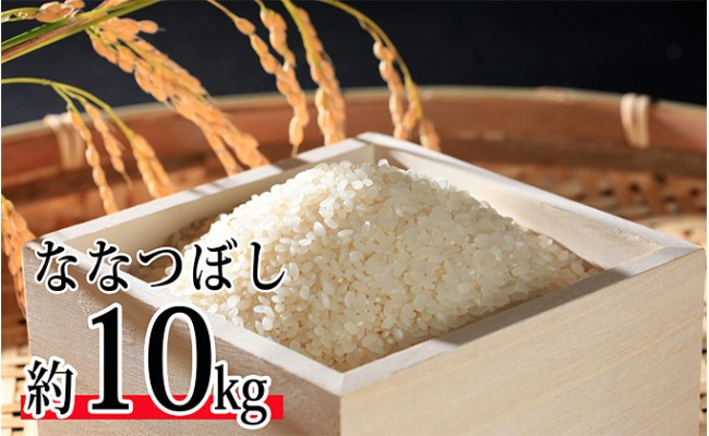 
令和5年度米 ななつぼし 10kg 北海道 今金米 米 白米 米俵 こめ おこめ F21W-271
