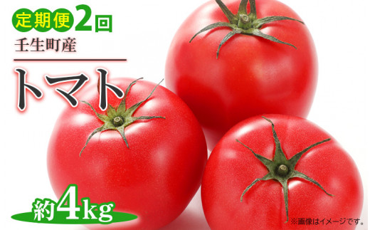 
【2回定期便】《令和6年産 先行受付開始》トマト 約4kg ｜ 産地直送 野菜 とまと 夏野菜 果物 くだもの 栃木県 壬生町
※2024年3月中旬頃より順次発送予定
※着日指定不可
