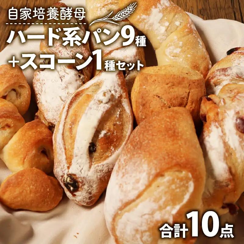 【自家培養酵母】ハード系パン9種 + スコーン1種 セット 惣菜パン 冷凍パン 京都