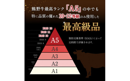特選　和歌山県産熊野牛ヒレステーキ　150g×1枚 / 和歌山県 田辺市 熊野 熊野牛 牛肉 ステーキ 冷凍便 【sks001】