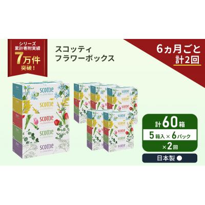 ふるさと納税 岩沼市 定期便 ティッシュ スコッティ 60箱 (5箱×6P)《計2 回》[No.5704-1129] |  | 01