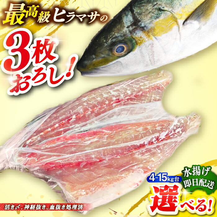 【ふるさと納税】壱岐島産天然ヒラマサ（選べる！4〜15キロ台・三枚おろし） 《壱岐市》【壱岐島　玄海屋】[JBS077] ヒラマサ 魚 刺身 煮物 カルパッチョ お寿司 のし プレゼント ギフト 冷蔵配送