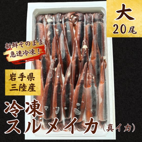 【鮮度そのまま急速冷凍】 冷凍スルメイカ 大サイズ 20尾入 鮮度そのまま！ いか イカ