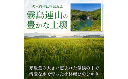 【定期便 全12回】【令和7年産米】ヒノヒカリ 10kg×12回（お米 米 ひのひかり 令和7年産 国産 人気 お弁当 定期便 宮崎県 小林市）