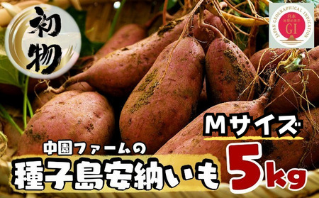 【 初物 8月下旬～9月上旬 発送】 中園ファーム 種子島 安納いも ( 生芋 ) 本場 安納 地域産 M 5kg　NFN171【300pt】 