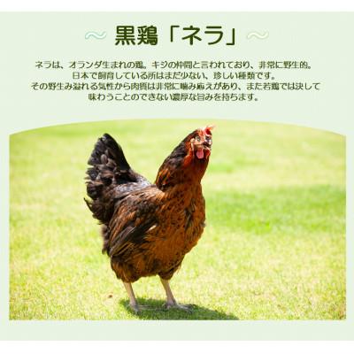 ふるさと納税 中島村 黒鶏のナゲット約1.4kg |  | 01
