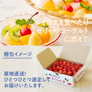 【2026年発送】大粒 さくらんぼ 1000g　さくらんぼ 佐藤錦 紅秀峰 [h052]