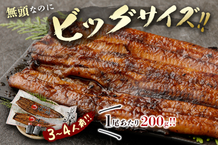 ［数量限定］満足サイズ!! 味鰻 うなぎ蒲焼き 2尾セット 合計約400g（無頭）化粧箱入 熨斗対応可【C421-2311】ウナギ 蒲焼 長焼 ひつまぶし ギフト プレゼント 国産 九州 宮崎