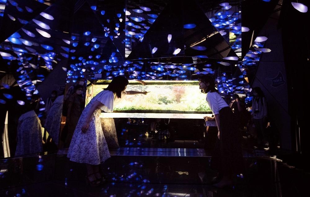AQUARIUM × ART atoa（アトア）入場引換券（2名様）