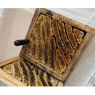 ふるさと納税 豊前市 日本ミツバチの蜂蜜(ギフトセット150g×2本) |  | 01