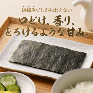訳あり 海苔 セット 寿司 はね 焼のり 全型81枚 (a20-252)