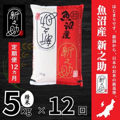 ふるさと納税 十日町市 【毎月定期便】【定期便12回(毎月発送)】新之助 精米 5kg全12回