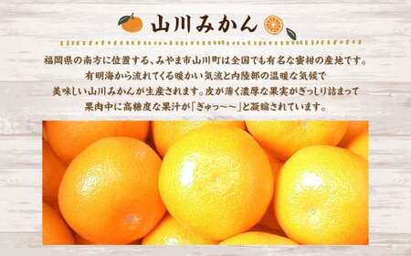 A158 福岡県山川産 塩みかん 10kg 【2026年11月上旬～12月下旬発送予定】 蜜柑 花藻塩