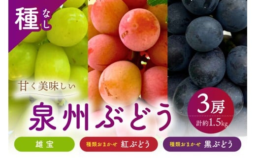 泉州ぶどう 大粒大房の雄宝とおまかせ2種の3房セット【065C-006】