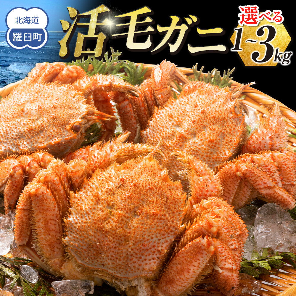 【ふるさと納税】 【先行予約/2026年4月発送開始】活毛ガニ　1kg～3kg　（300g～500g　2～9尾） | 蟹 魚介類 水産 食品 人気 おすすめ 送料無料