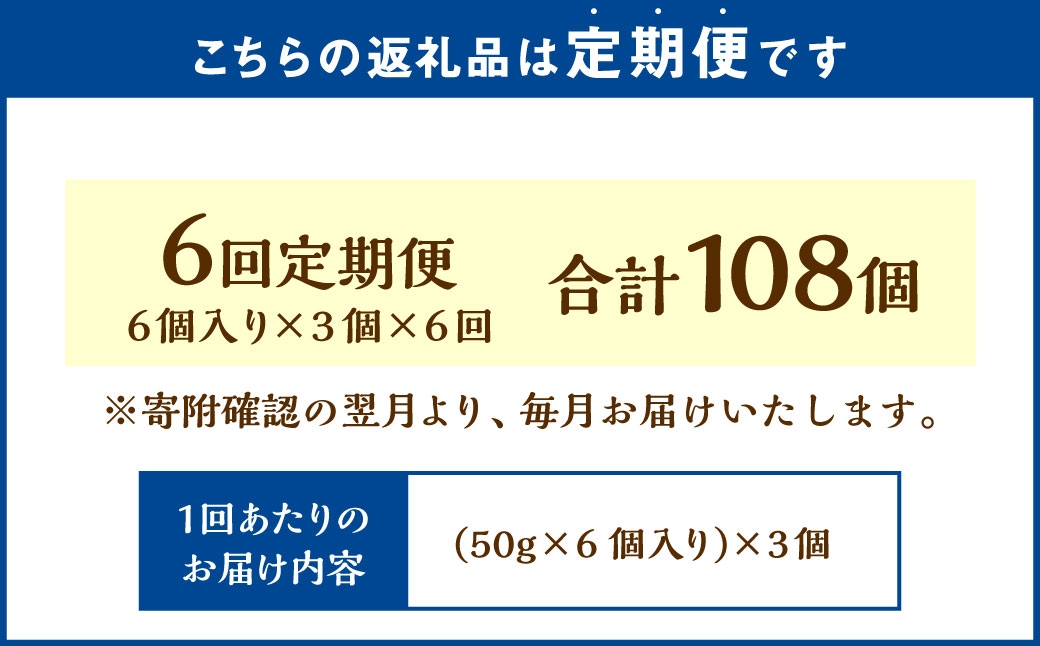 【6回定期便】 北海道ミニフロマージュ 3種 セット （プレーン ・ アップル ・ メロン） 約900g×6回 合計約5.4kg