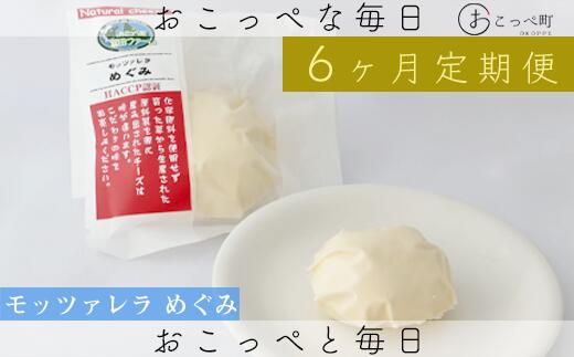 【ふるさと納税】モッツァレラめぐみ3個 6ヶ月定期便【22002】