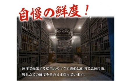 南まぐろの大トロ・中トロセット 南まぐろ刺身用大トロ、上トロ、中トロ各1本（約600g） 希少な天然南まぐろをご家庭で！最上級の南まぐろを詰め合わせた幻のまぐろ極みセット【E-073H】