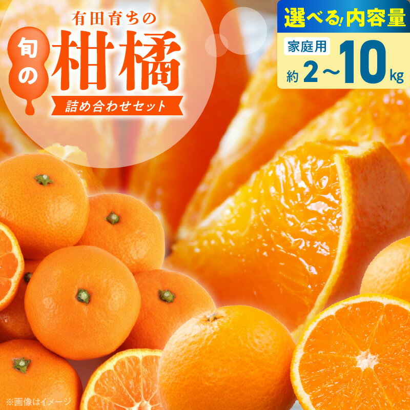 【ふるさと納税】【限定】 【2026年先行予約】 旬の柑橘 詰め合わせ セット 訳あり 選べる容量 2 ～ 10kg 旬の美味 みかん名産地 和歌山 有田 有田育ちの ご家庭用