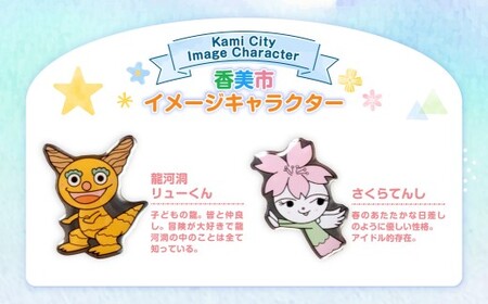 香美市イメージキャラクターピンバッジ（土佐山田町4種セット） ピンバッジ バッジ やなせたかし やなせたかし先生デザイン 香美市限定 ふるさと納税限定 高知県 香美市