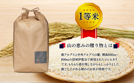 【令和7年産】３ヶ月連続お届け 定期便 信州産 コシヒカリ 1等米 「山の恵みの贈り物」 10kg（5kg×2袋）　計30kg （ お米 コシヒカリ 白米 搗きたて米 低温貯蔵米 食品 ) 長野県　箕