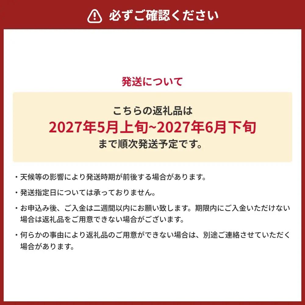 ＜ R8年熊本地震復興支援 ＞熊本県産 大玉スイカ 1玉 （3L以上・約8kg） 【2027年5月上旬～6月下旬迄発送予定】 大玉西瓜 大玉すいか 西瓜 すいか スイカ 果物 果実 フルーツ 大玉 九