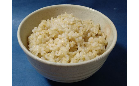 【定期便3回】雄踏ファームカモ産 玄米「みつばちまもる米」5kg（品種：にこまる）（3ヶ月連続・合計15kg）