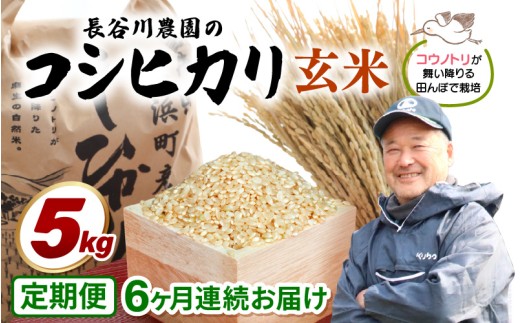 玄米【令和7年産】定期便 ≪6ヶ月連続お届け≫長谷川農園の コシヒカリ 玄米 5kg × 6回 (計30kg) 【米 5kg お米 こしひかり 5キロ 玄米 ブランド米 ふるさと納税米 産地直送】 [