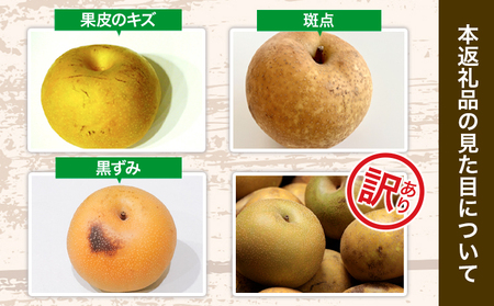 【先行予約】 訳あり 梨 荒尾梨 約 4.5kg ～ 5kg (6～18玉前後) 秋 旬 目野果実直売所《8月上旬-9月末頃出荷》熊本県 荒尾市産 なし フルーツ 果物 新鮮 愛甘水 幸水 秋麗 豊水
