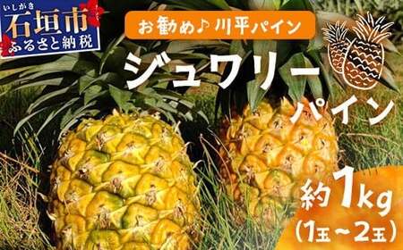 【先行予約】ジュワリーパイン1ｋｇ（1～2玉）お勧め♪川平パイン《2026年7月～8月頃順次発送》KN-1