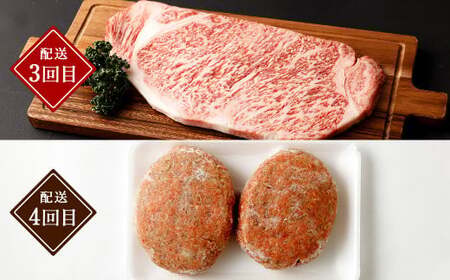 みなまたを満喫！お肉6ヶ月定期便 総量約6.6kg 豚肉 牛肉 鶏肉 こま切れ タレ漬け ステーキ ハンバーグ 腸 詰め合わせ 黒毛和牛 スライス 肉 セット おかず 冷凍 定期便 6回
