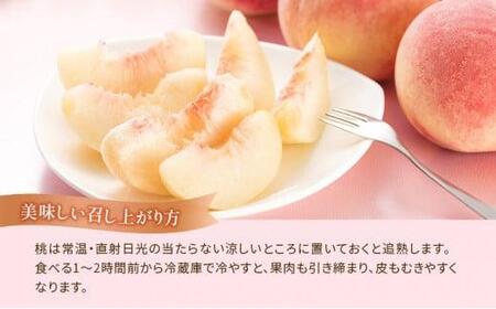【先行予約】 桃 約1.8kg 5-10玉入 1箱 贈答 香川県 丸亀市