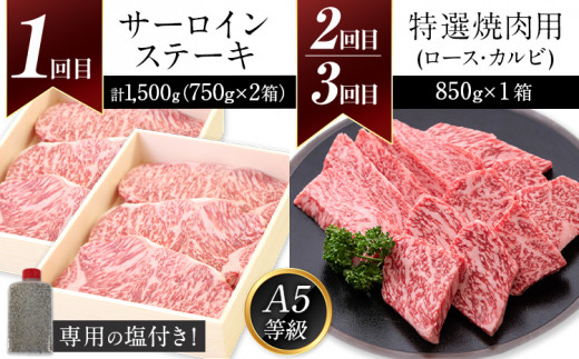 鞍手町 ふるの牛 頒布会 計5kg以上 全6回《お申込み翌月から出荷》ふるの牛 サーロインステーキ 特選焼き肉用 ロース カルビ すき焼き しゃぶしゃぶ ロース サーロインブロック 焼肉 焼肉用 定期