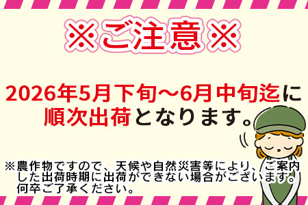期間限定！予約受付！＜宮崎県産 スイートコーン 約4.5kg＞2024年5月下旬～6月中旬迄に順次出荷【 先行予約 穀物 野菜 甘い 季節限定 とうもろこし おやつ ご飯 スープ サラダ BBQ 屋台