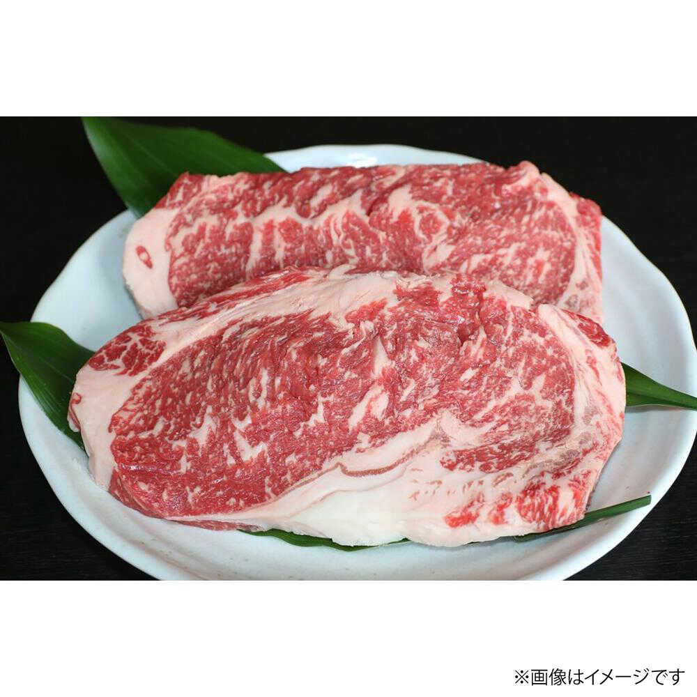 【ふるさと納税】G11P GI認証 くまもとあか牛 ロースステーキ 約500g 冷凍 国産 牛肉 ステーキ 熊本 ロース ステーキ 赤牛 あか牛 あかうし 褐毛和種 肥後 国産 和牛 牛肉 ディナー 焼肉用 バーベキュー BBQ 熊本県産 熊本産 合志市【有限会社 桜屋】[AYCP004]