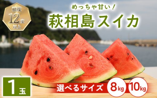
                  スイカ 萩・夏の銘品 相島 西瓜 秀品  約8kg～10kg 大玉すいか フルーツ 果物 果物類 贈答品 ギフト
                